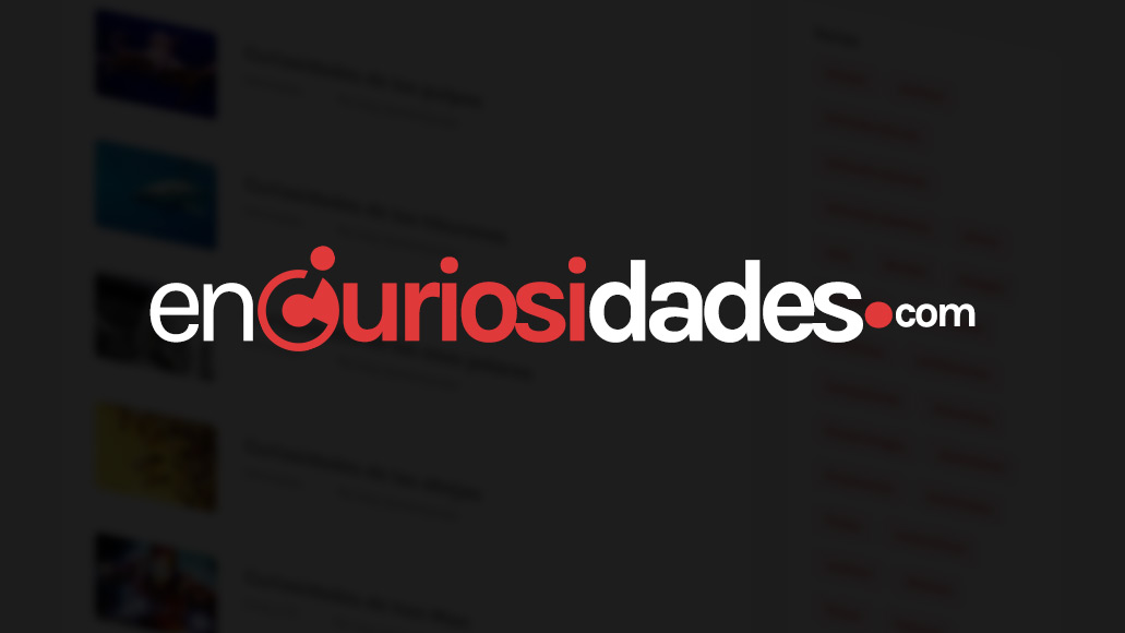TikTok de Encuriosidades